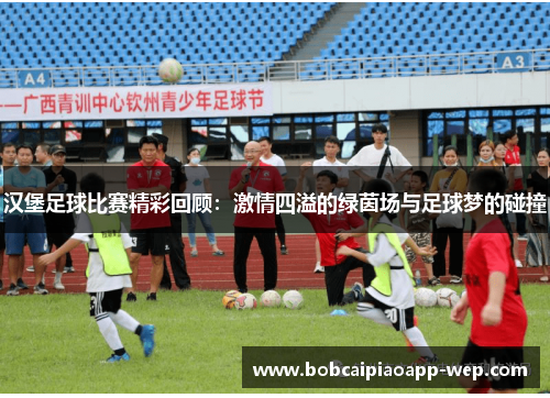 汉堡足球比赛精彩回顾：激情四溢的绿茵场与足球梦的碰撞