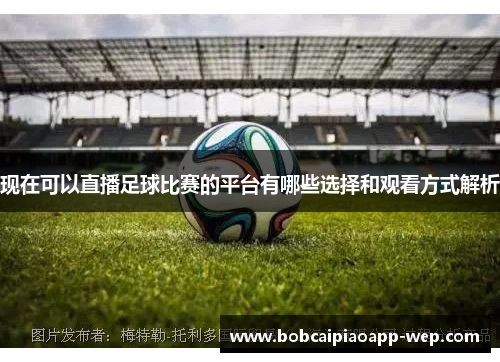 现在可以直播足球比赛的平台有哪些选择和观看方式解析