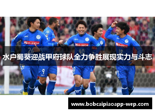 水户蜀葵迎战甲府球队全力争胜展现实力与斗志